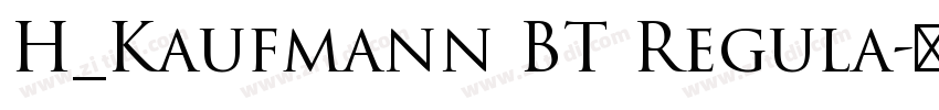 H_Kaufmann BT Regula字体转换